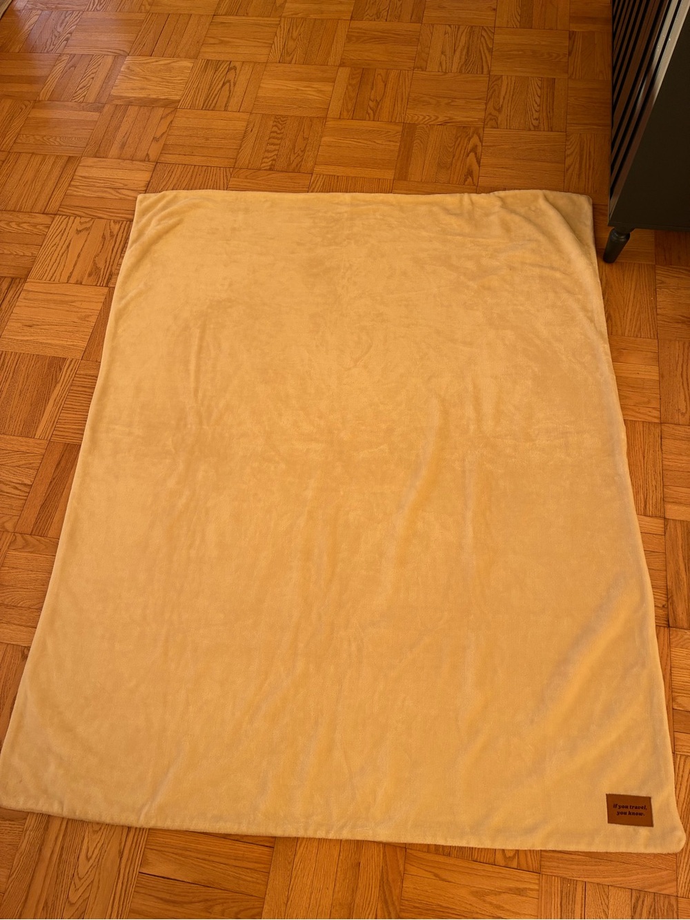 Delta Logo Fuzzy Blanket
